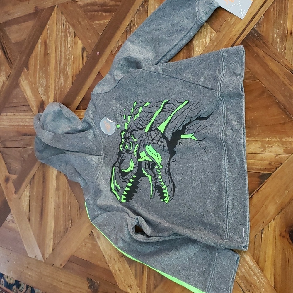 JUMPING bean Dinosaur Hoodie size 3t